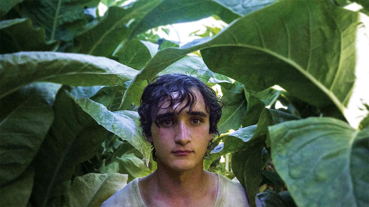 Happy as Lazzaro