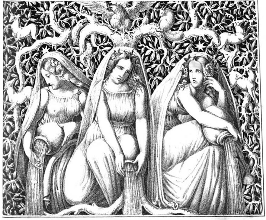 Norns (นอร์นส์) ทั้งสาม ได้แก่ Urðr (อดีต), Verðandi (ปัจจุบัน) และ Skuld (อนาคต) ขณะกำลังทำหน้าที่ถักทอเส้นใยแห่งโชคชะตาอยู่ใต้รากของต้น Yggdrasil
