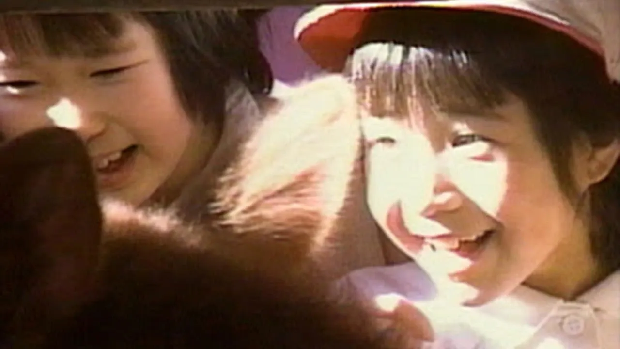 Lessons from a Calf (1991)