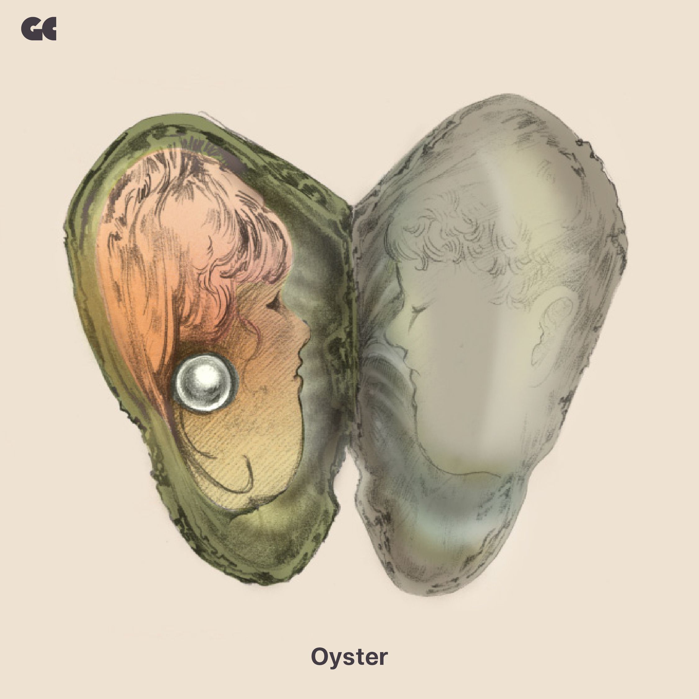 **Oyster**

ภาพนี้เป็นภาพของคนสองคนอยู่ในหอย ต่างฝ่ายต่างมองเข้าหากัน ฝ่ายหนึ่งมีตัวตนแต่อีกคนเป็นแค่หลุมลงไปตามรูปร่างของเปลือกหอย ตอนนั้นเศร้าอยู่ ถ้าให้เดาน่าจะรู้ว่าเรื่องอะไร แต่อินมากอยากลองแปลดูว่าความรู้สึกที่มีอยู่แต่ไม่มีแล้ว คืออะไรนะ หลายคนก็ชอบรูปนี้มากเลยนะคะ
